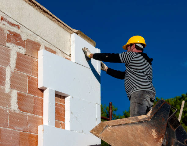 Best Cellulose Insulation  in Placentia, CA